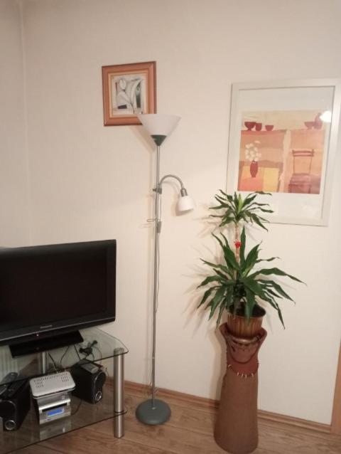 Apartament Stroma 4 Zakopane Exterior photo